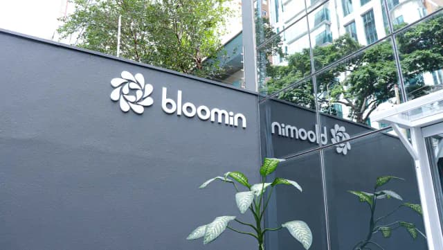 Espaço Bloomin